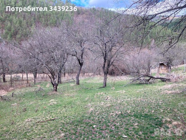 Имот, снимка 3 - Парцели - 42190532