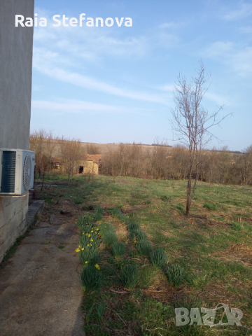 Двуетажна къща в село Добролево с голям парцел, снимка 5 - Къщи - 44688536