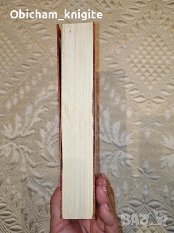 Стопанката на Господ - Розмари Де Мео, снимка 2 - Художествена литература - 53960715