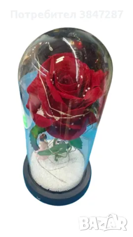 Вечна роза в стъкленица с LED осветление и влюбени фигурки, снимка 2 - Други - 48695217