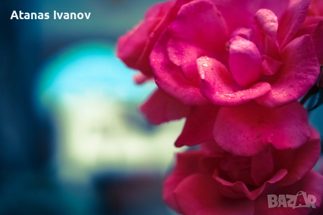 Обектив 7artisans AF 50mm f/1.8 FF за Sony E-mount, снимка 7 - Обективи и филтри - 52583452