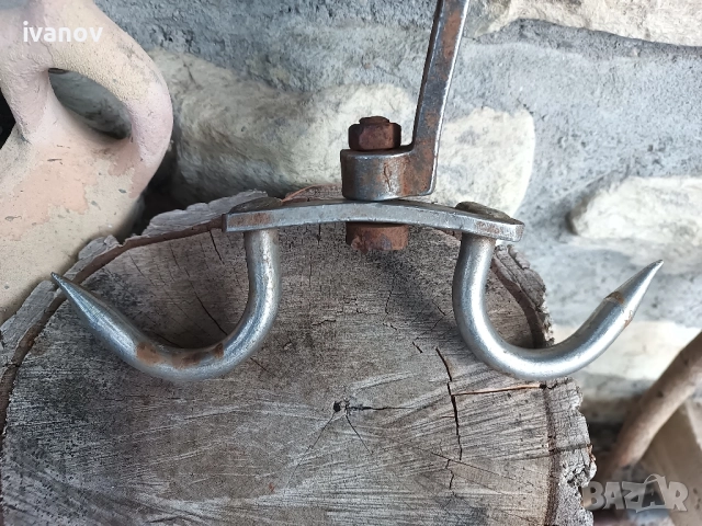 Двоен ченгел за животни