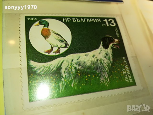 МАРКА 4 НРБ 1985 АНГЛИЙСКИ СЕТЕР 1203231608, снимка 7 - Филателия - 39972745
