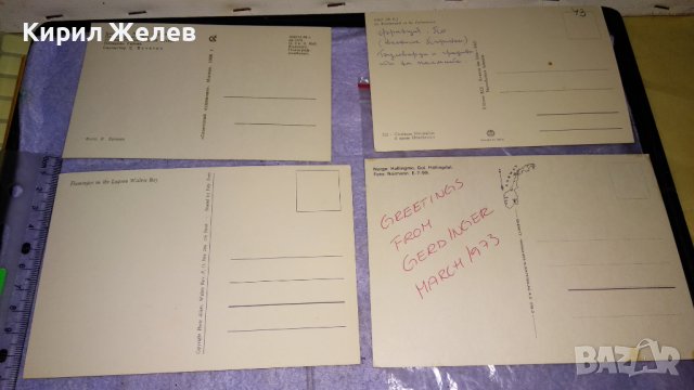 ЛОТ 4 СТАРИ ПОЩЕНСКИ КАРТИЧКИ ТЕМА ФРАНЦИЯ СССР и ДРУГИ ЖИВОПИСНИ ГЛЕДКИ РОЗОВО ФЛАМИНГО ЕЗЕРО 3343, снимка 6 - Филателия - 38810987
