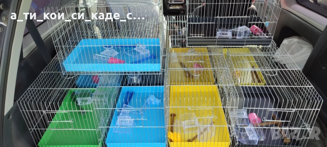 Чисто нови кафези със два отвора за мътилник, снимка 3 - Оборудване и аксесоари за оръжия - 52469575