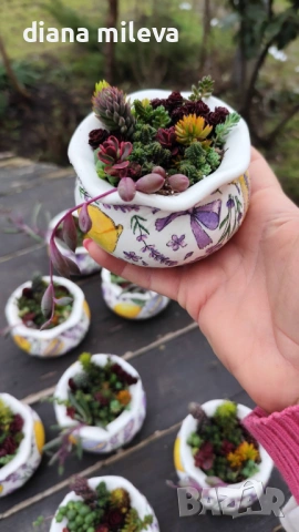 Гърнета аранжирани със сукуленти!, снимка 17 - Декорация за дома - 53206137