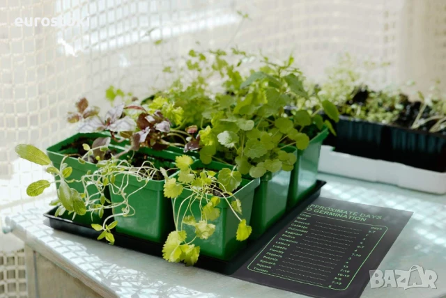 Ohuhu нагревателни подложки за разсад за растения, 25 x 52см, 21W, сертифицирана по MET IP67, снимка 5 - Градинска техника - 51344506