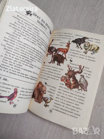 Детски книжки - безплатна доставка, снимка 3 - Детски книжки - 49038721