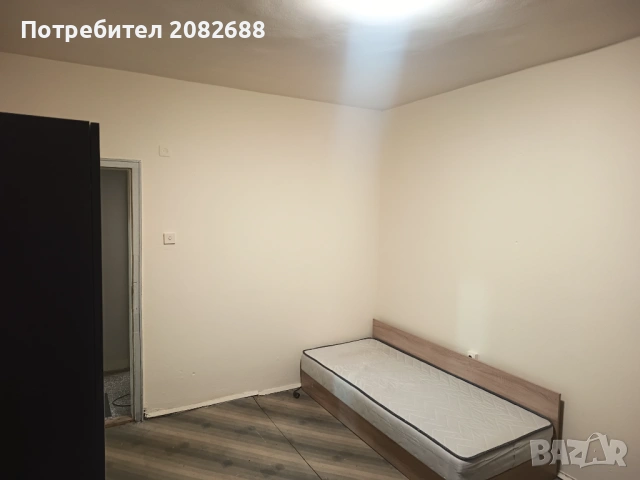 Стая под наем 