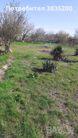 Почистване на дворове , снимка 3 - Други почистващи услуги - 47543826