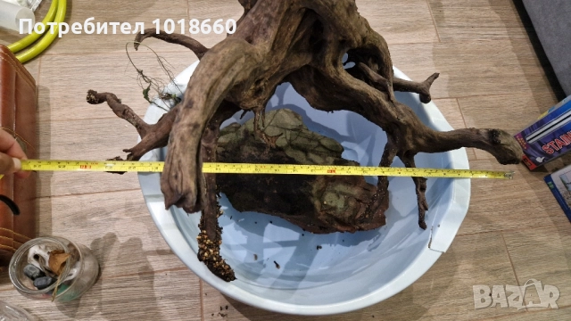 Голям мангров корен, снимка 3 - Оборудване за аквариуми - 52509300
