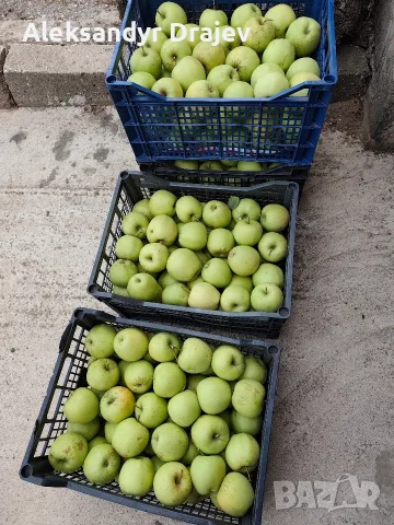 Круши, Ябълки,Мед и Сокове , снимка 11 - Домашни продукти - 56258345