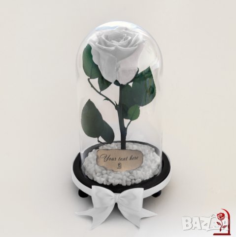 Вечна Роза в Стъкленица / Незабравим Подарък за Годишнина или Сватба / Естествена Бяла Вечна Роза