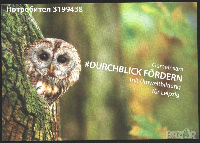 Пощенска картичка Фауна Птица Сова от Германия, снимка 1 - Филателия - 37502593