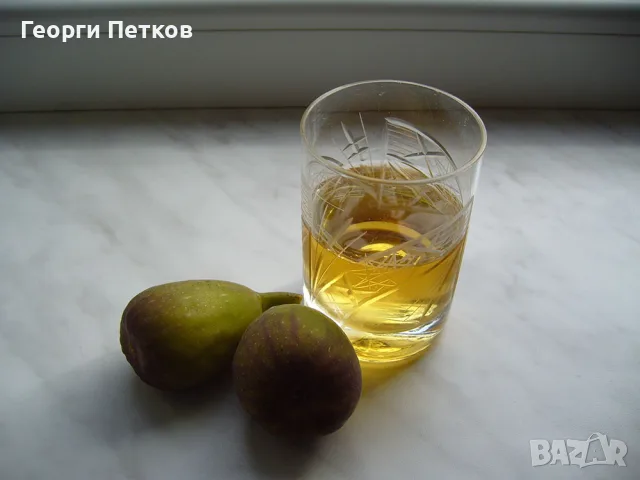 Смокини разсад в кофичка., снимка 8 - Градински цветя и растения - 56493361