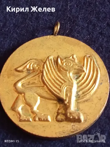 Стар медал ГРИФОН ДЕТАЙЛ от ВРАТА на ЦЪРКВАТА РИЛСКИ МАНАСТИР 23369, снимка 3 - Други ценни предмети - 49660559