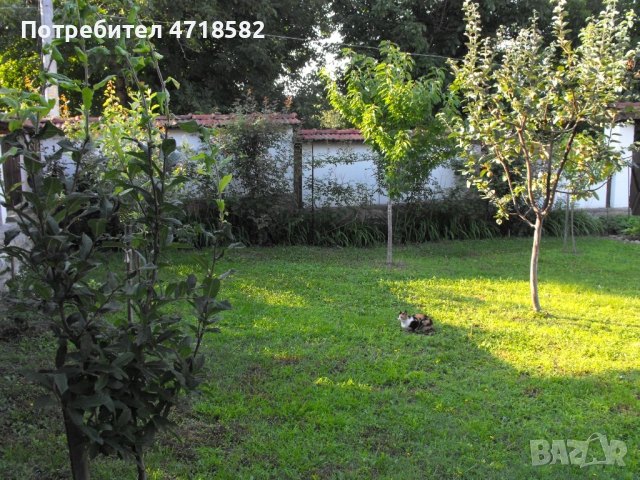 Продавам имот – две автономни къщи в един двор , община Ловеч, село Дойренци, снимка 5 - Къщи - 53218401