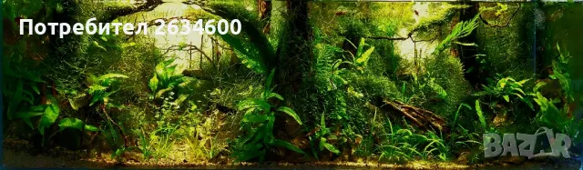 аквариуми и терариуми , снимка 8 - Терариуми и оборудване - 49408460