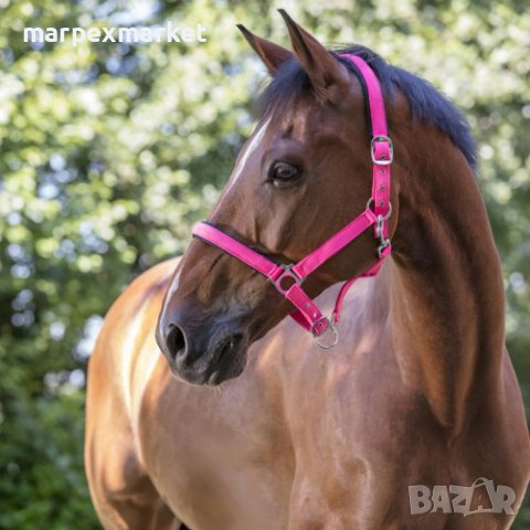 Цветни оглавници за коне - Colors, снимка 2 - Коне - 44287192