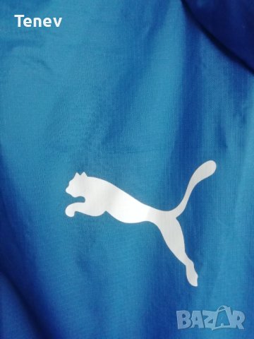 Feyenoord Rotterdam Puma оригинално яке Фейенорд Размер М 2013/2014 , снимка 4 - Якета - 40376794