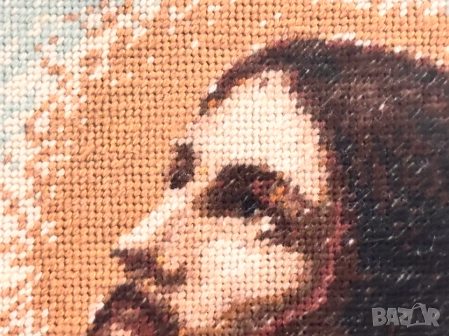 Гоблен "Молещият се Христос", снимка 7 - Гоблени - 54186947