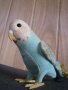 Колекционерска мека играчка Steiff Parakeet Папагал, снимка 4