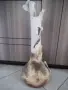 Декорация за дома, снимка 4