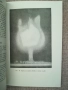 Атомна енергия и противоатомна защита / Андреев, Николов , снимка 5