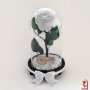 Вечна Роза в Стъкленица / Незабравим Подарък за Годишнина или Сватба / Естествена Бяла Вечна Роза