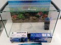 Аквариум 40 литра/Промо сет /, снимка 2