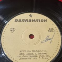 Грамофонна плоча - Делфините, Море на младостта ВТК 2802, снимка 3 - Грамофонни плочи - 42125756