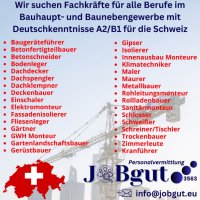Строителни работници, Кофражисти, Арматуристи с немски език за Швейцария, снимка 1 - Майстори - 44475570