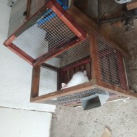 Клетка за зайци , снимка 2 - Други стоки за животни - 42283556