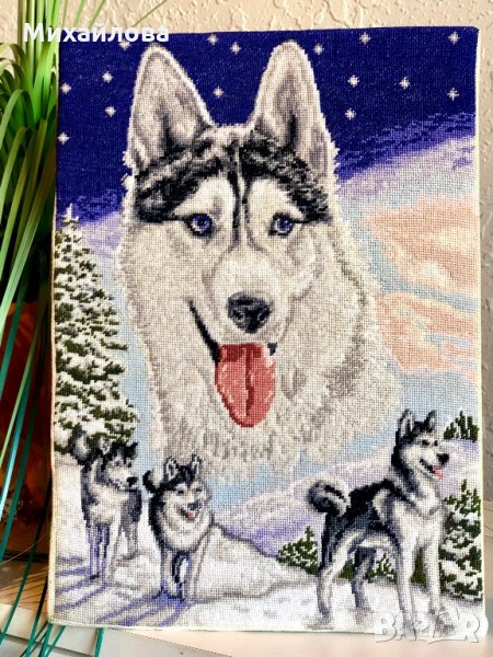 “Полярна приказка”, снимка 1