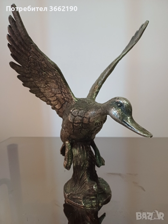 Бронзова патица, снимка 1