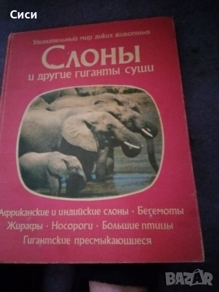 Слоны и другие гиганты суши, снимка 1