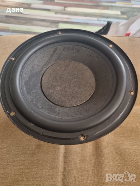 Голям говорител, снимка 1