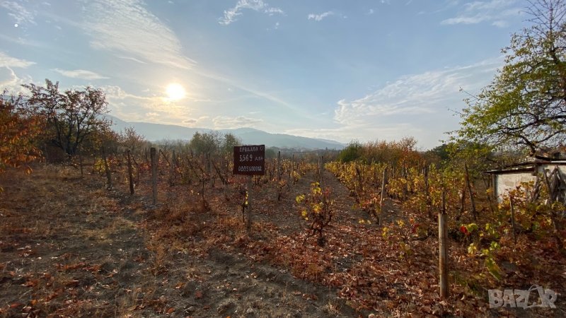 Парцел 5.569 дка, снимка 1