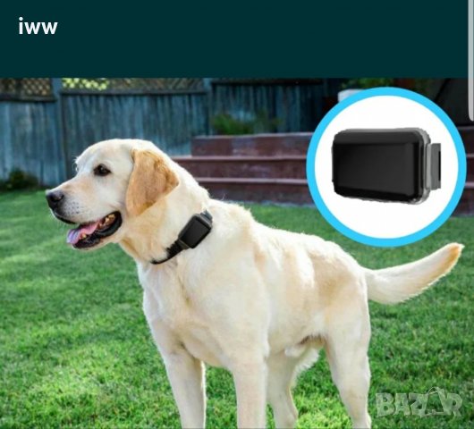  ЕЛЕКТРОНЕН НАШИЙНИК GPS ТРАКЕР ЗА ЛОВНИ КУЧЕТА ,КОТКИ И ДРУГИ ВОДОУСТОЙЧИВ, снимка 7 - За кучета - 31413686
