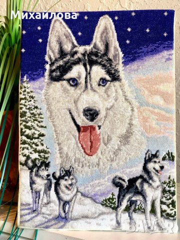 “Полярна приказка”