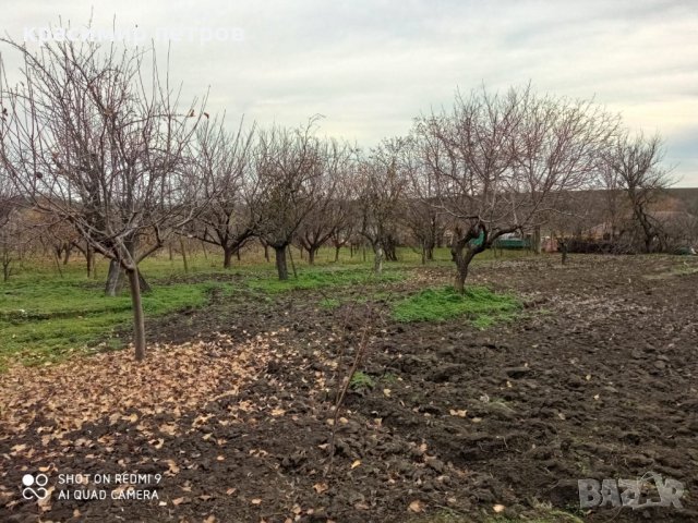 Къща в село Полковник Ламбриново, снимка 9 - Къщи - 36607280