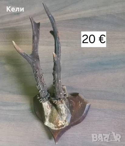 рога на сръндак, снимка 3 - Други - 55577660