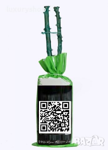 Корени готови за засаждане ” Черна Роза ”, " Нефрит ", " Дъгова " внос Холандия, сертифицирани, снимка 4 - Градински цветя и растения - 36733683