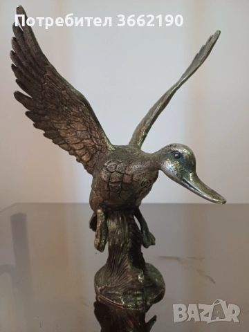 Бронзова патица