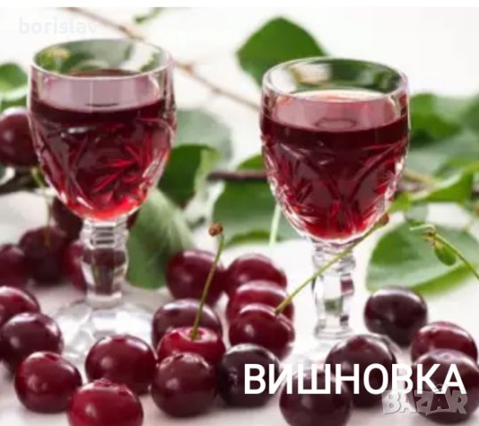 Продавам Вишни и Вишновки, снимка 6 - Градински цветя и растения - 33037388