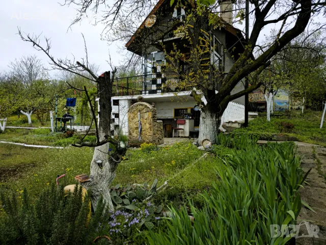 Вила с двор в гр. Русе, кв. Касева Чешма, Акациите, снимка 18 - Къщи - 50150490