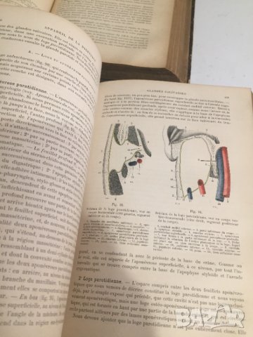 Човешка Анатомия том 2 и 3/1895-1897г./на френски, снимка 5 - Специализирана литература - 30140011