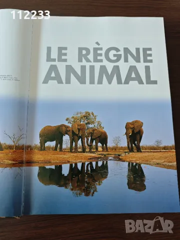 Le Regne Animal-енциклопедия на френски, снимка 2 - Енциклопедии, справочници - 47479705