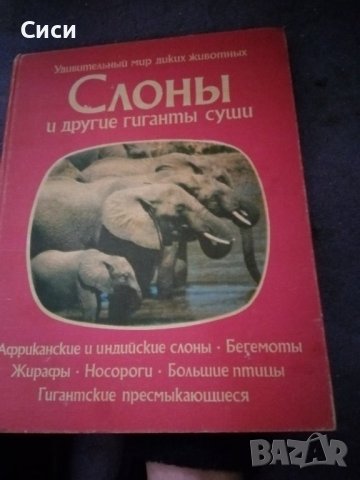 Слоны и другие гиганты суши