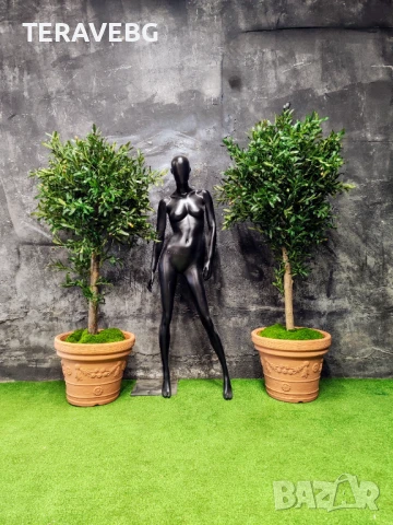 Декоративни дървета , снимка 14 - Изкуствени цветя - 50801494